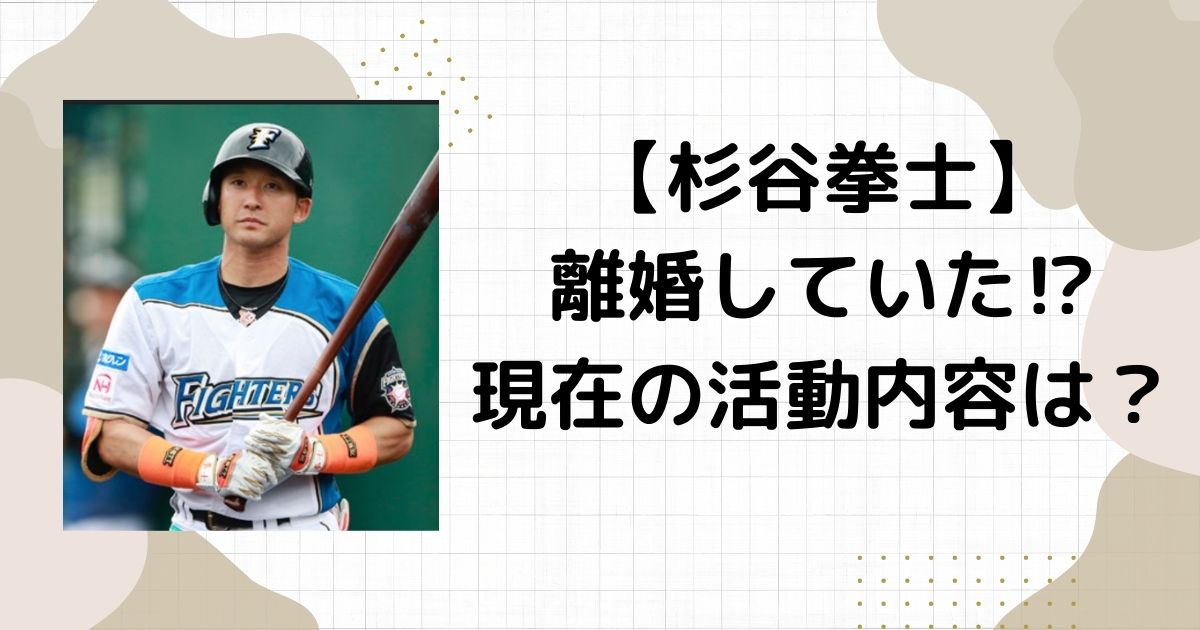 杉谷拳士は泉千尋と離婚していた⁉︎現在の活動内容や引退理由は？