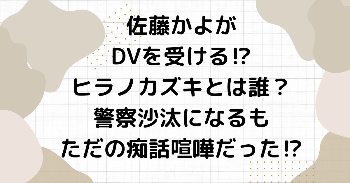 佐藤かよがDVを受ける⁉︎ヒラノカズキとは誰？警察沙汰になるもただの痴話喧嘩だった⁉︎